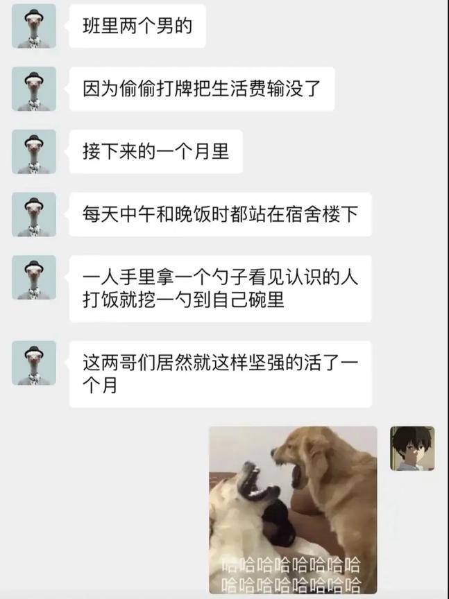 坚强的活着[doge]