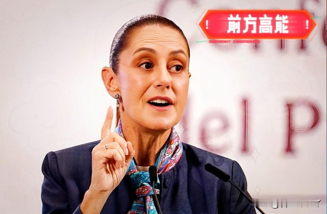 墨西哥总统辛鲍姆表示了！当地时间2月9日，墨西哥总统辛鲍姆在总统府新闻晨会上