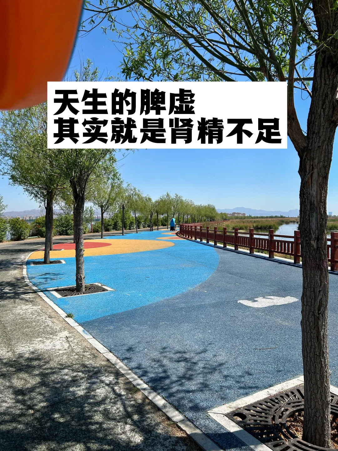 天生的脾虚，其实就是肾精不足.