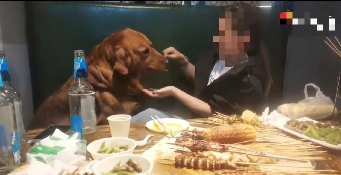 5月11日，一段网传视频显示，在一家烧烤店内，一女子让宠物狗坐在卡座上，并用铁签