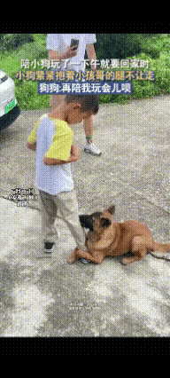 解释不清啦!湖南,有一家人出去游玩的时候,男孩瞧见一只饿得缩成一团的流浪狗,就顺