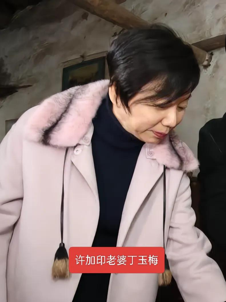 丁玉梅避债梦碎，许家印夫妇资产转移大戏终露馅恒大2.4万亿债务的后续有新动静