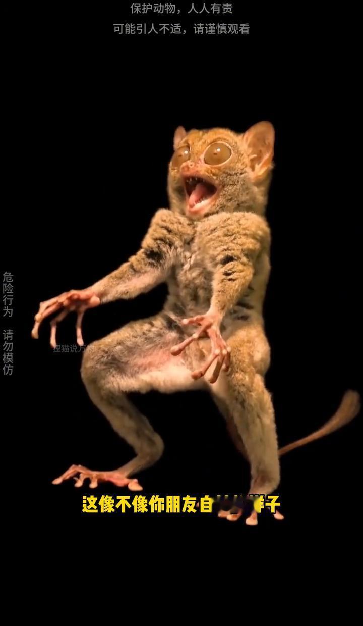 咱们平时光顾着看明星整容八卦，殊不知大自然才是那个最疯的“整形医生”，看看这些长