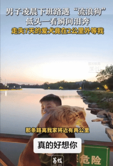 “这就是缘分！”江苏宿迁，一男子凌晨下班被“流浪狗”缠上，低头一看瞬间泪奔，流浪