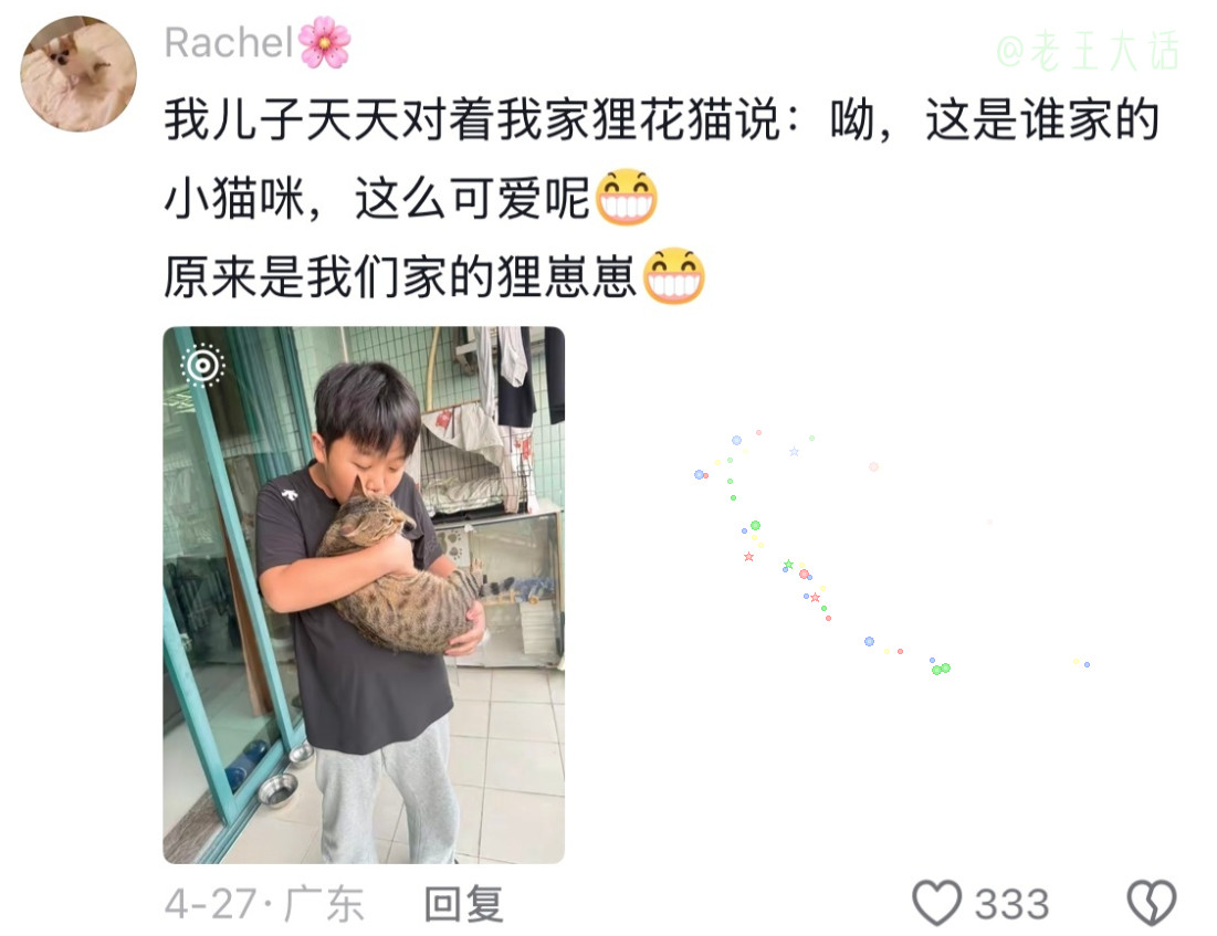 狗狗：日子怎么可能和谁过都一样呢