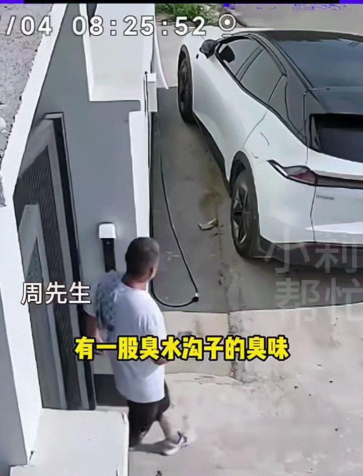 河南郑州，一男子早上出门挪车，当其走到车周围时男子便闻到一股刺鼻恶臭，起初男子也