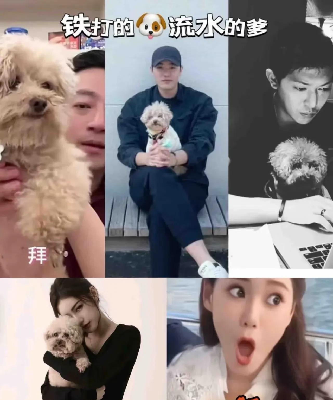 发现了吗某些人这次可算找对七寸了有人黑张兰时不妨碍汪马秀恩爱越黑老的大的