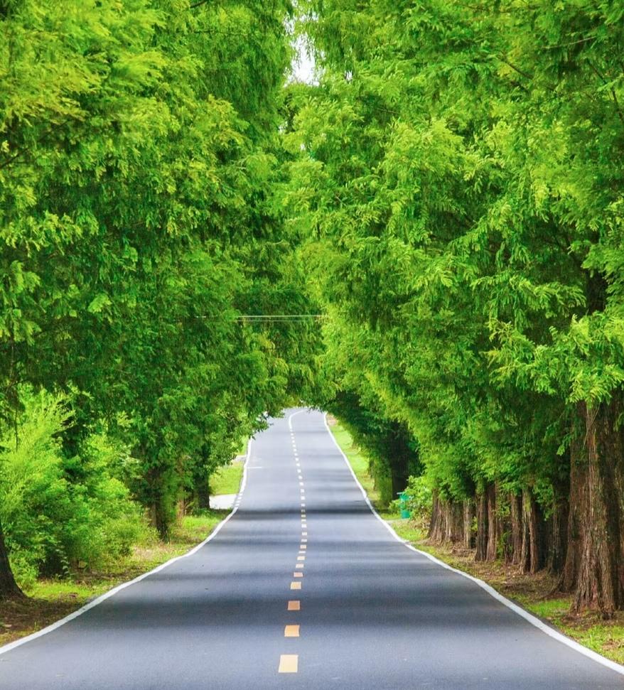 作为东北人，你会让子女留在东北工作吗？昨天和一个大学同学视频聊天，她说她儿子从