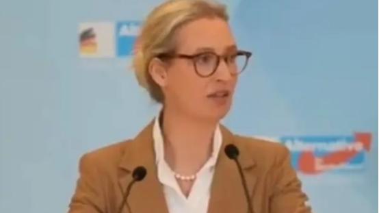 德国选择党领袖：待我们掌政，将让泽连斯基为炸掉我们的输气管道付出代价 1月2