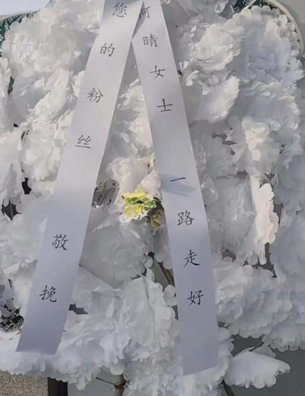 【钩子】许亚军接到电话时，正在片场说台词。他忘了说“卡”，直接攥紧了手机——前