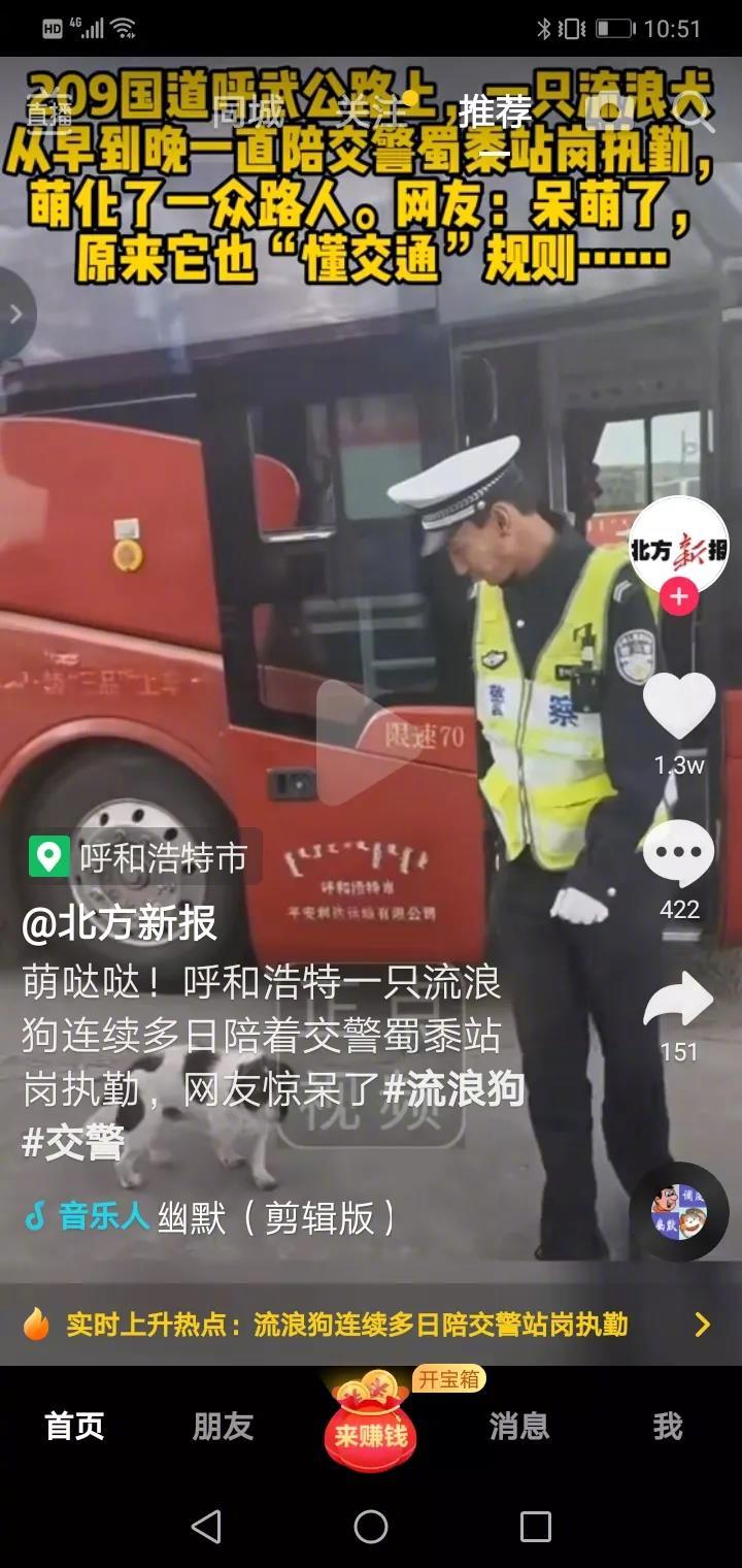 209国道呼武公路上，一条流浪狗一连好几天陪着交警站岗执勤，并且是从早到晚守着交