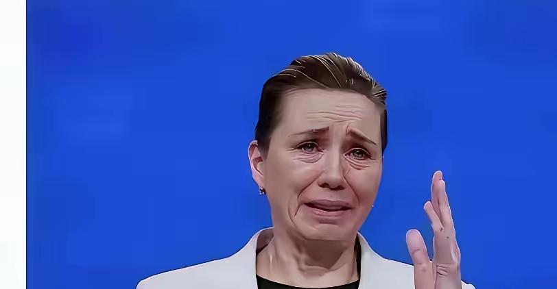 格陵兰岛上，法国兵到了，德国兵也到了。丹麦人现在可能才回过味儿，这哪是来帮忙的。