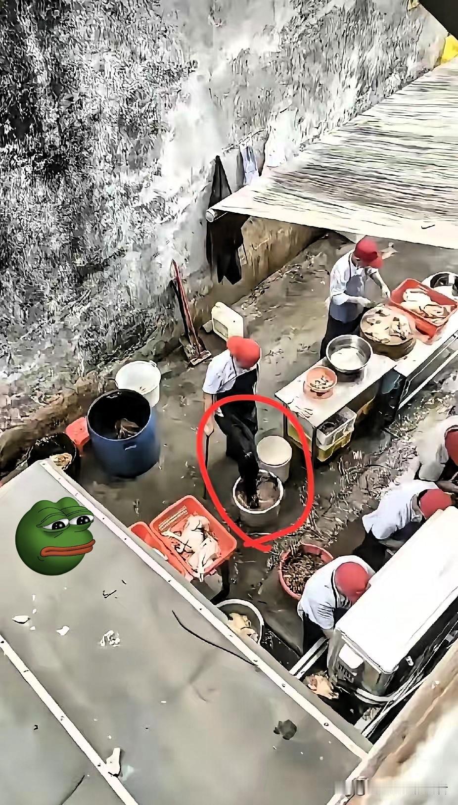 莫氏鸡煲又出幺蛾子了!这次不是邻居去找麻烦，而是有人专门特意从楼上往下盯着后