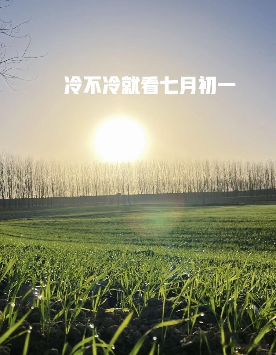 "冷不冷，就看七月初一"，今日七月初一，今年冬天会冷到哭？“孟秋朔日观云色