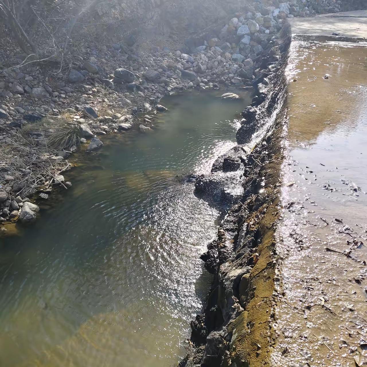 81岁红豆爷爷的坚持，真的让无数人破防！他举报虚假诉讼的材料已被接收，虽大概