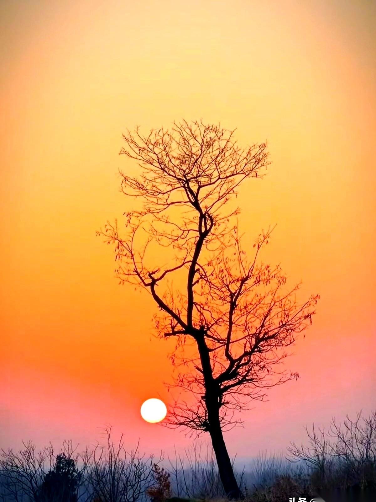 这篇关于“老头再婚”的议论，把最后一点遮羞布都扯下来了：一个70多岁的老头，非要