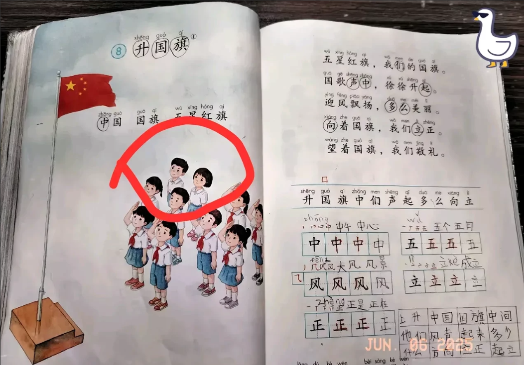 今天侄女突然指着课本照片突然问我，"姑姑，这四个小学生升国旗的时候为什么不敬