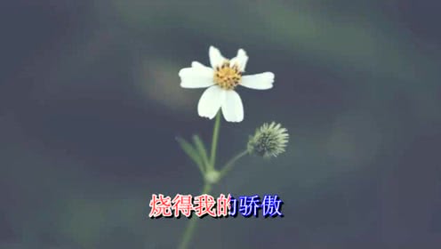 火苗mp3