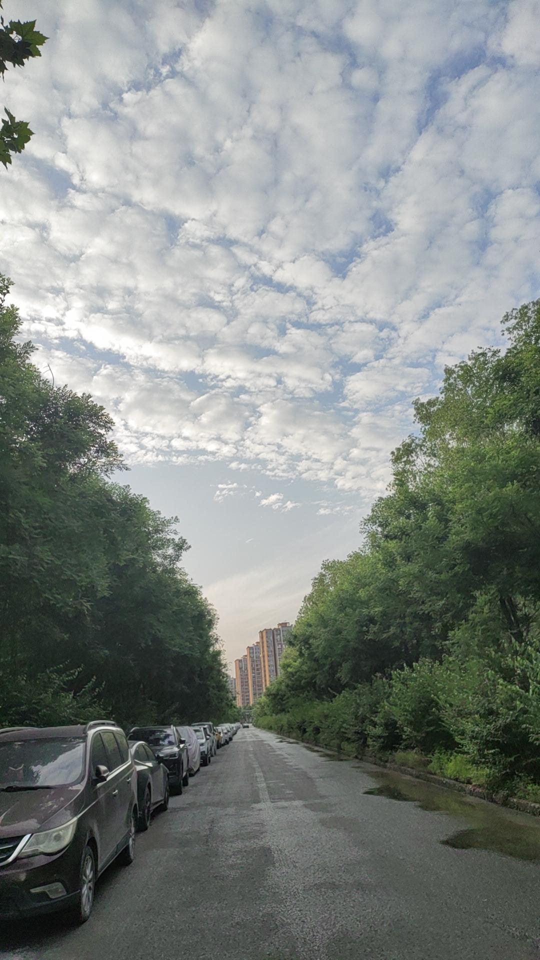 昨天姐姐给我发微信，我都不知怎么回，出来半个多月了，跟姐姐联系两次，都是有事。自