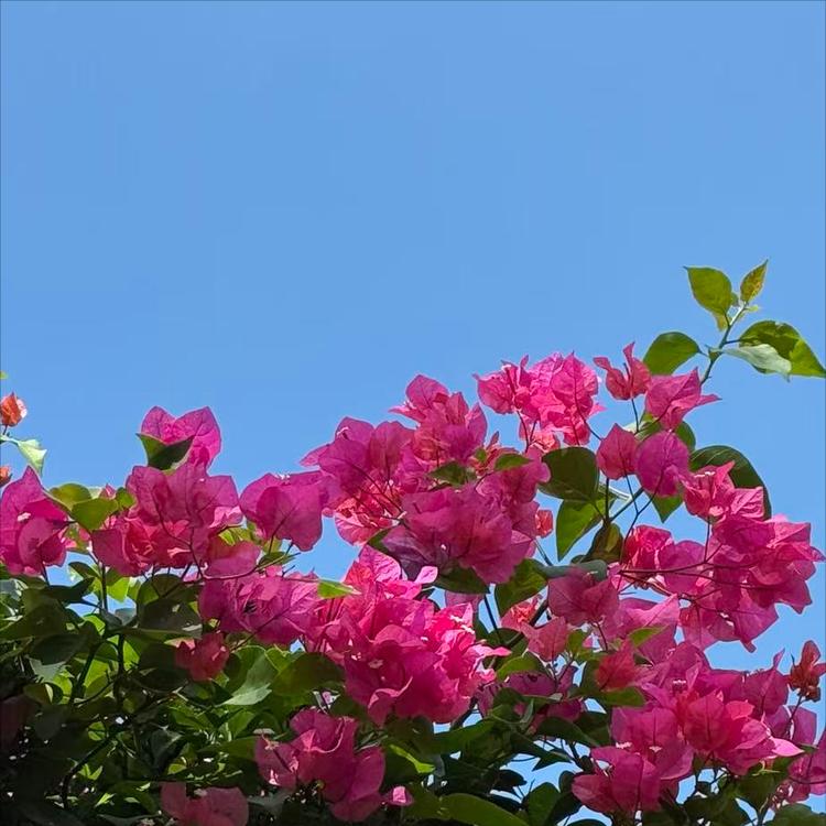 12月25日-26日的会议传递出这3个重要信号 一是中央八项规定是长期有效的