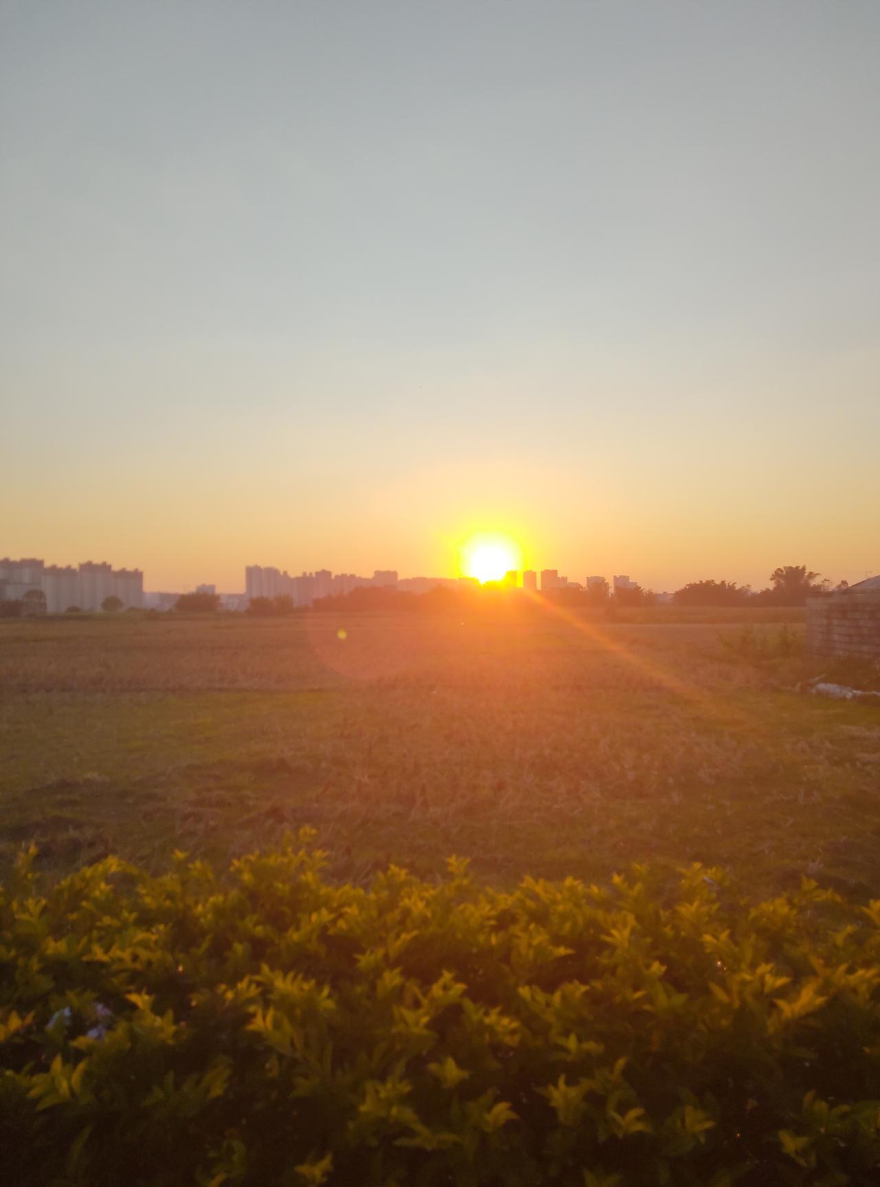 冬日生活打卡季南方冬天的暖阳，就是大自然藏着的温柔宝藏！北方大雪纷飞时，