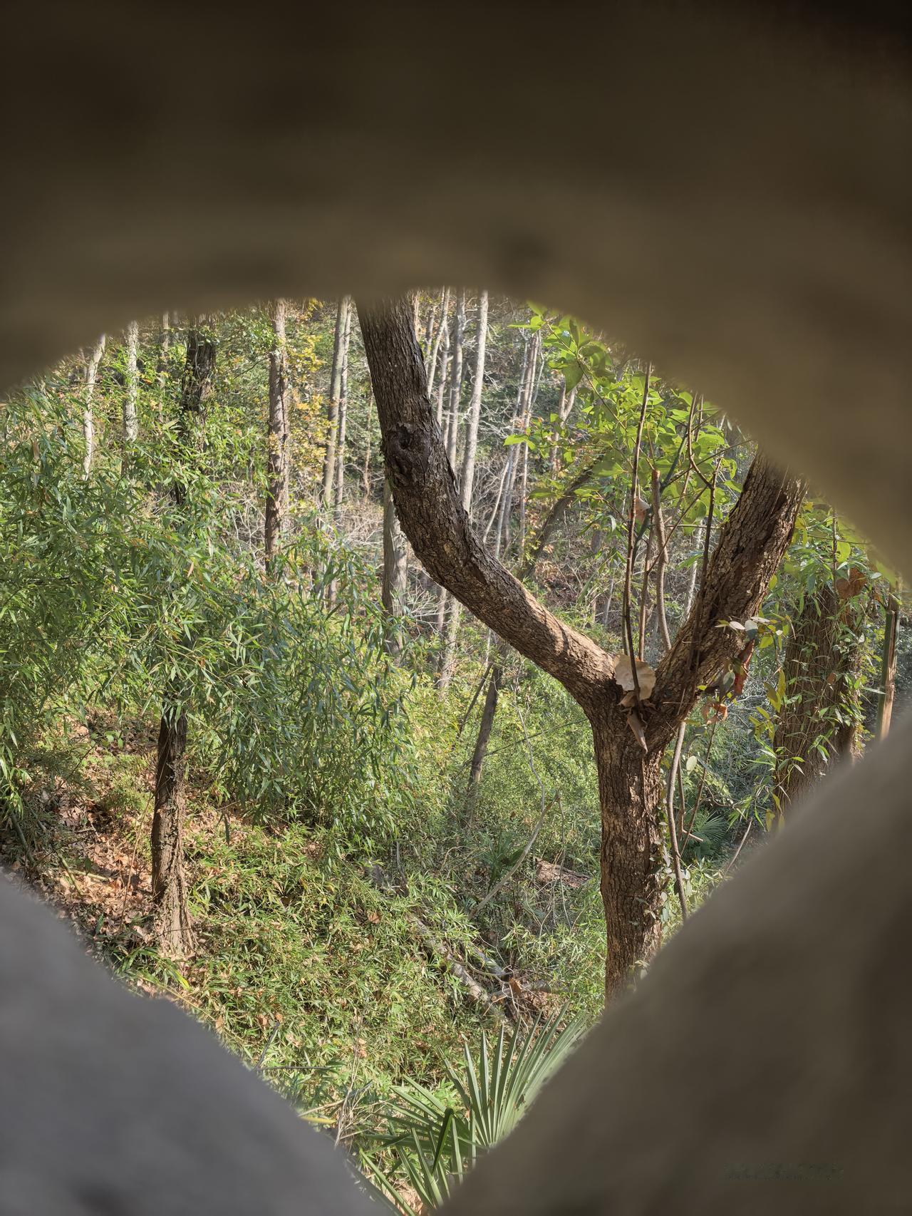昨天带孩子去吃了you面村，感觉生意差了很多。点了一份儿童套餐，一份大盘鸡和一份
