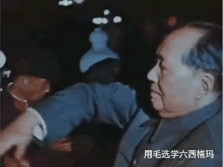 “中国共产党最大的成功，是推举毛主席为我党我军的领导人，确立了以毛泽东主席为核心