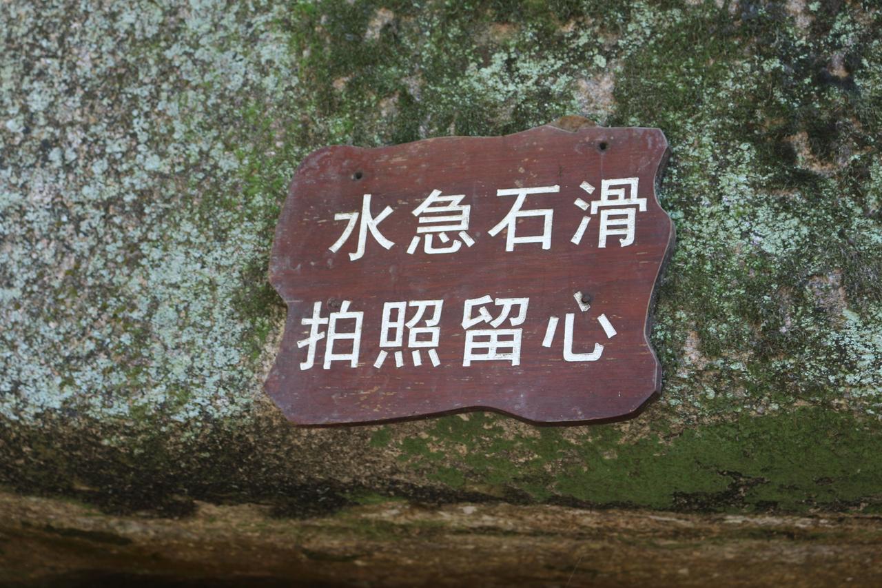 解决孤独最好的良药，是自己的内心能够充盈。很多时候，人之所以感到孤独，就是因为