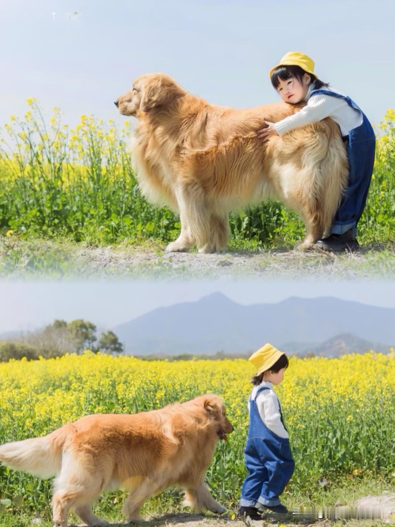 你能接受孩子和宠物一起长大吗?太能接受了！我家娃打小就跟金毛一块儿长大，俩“小