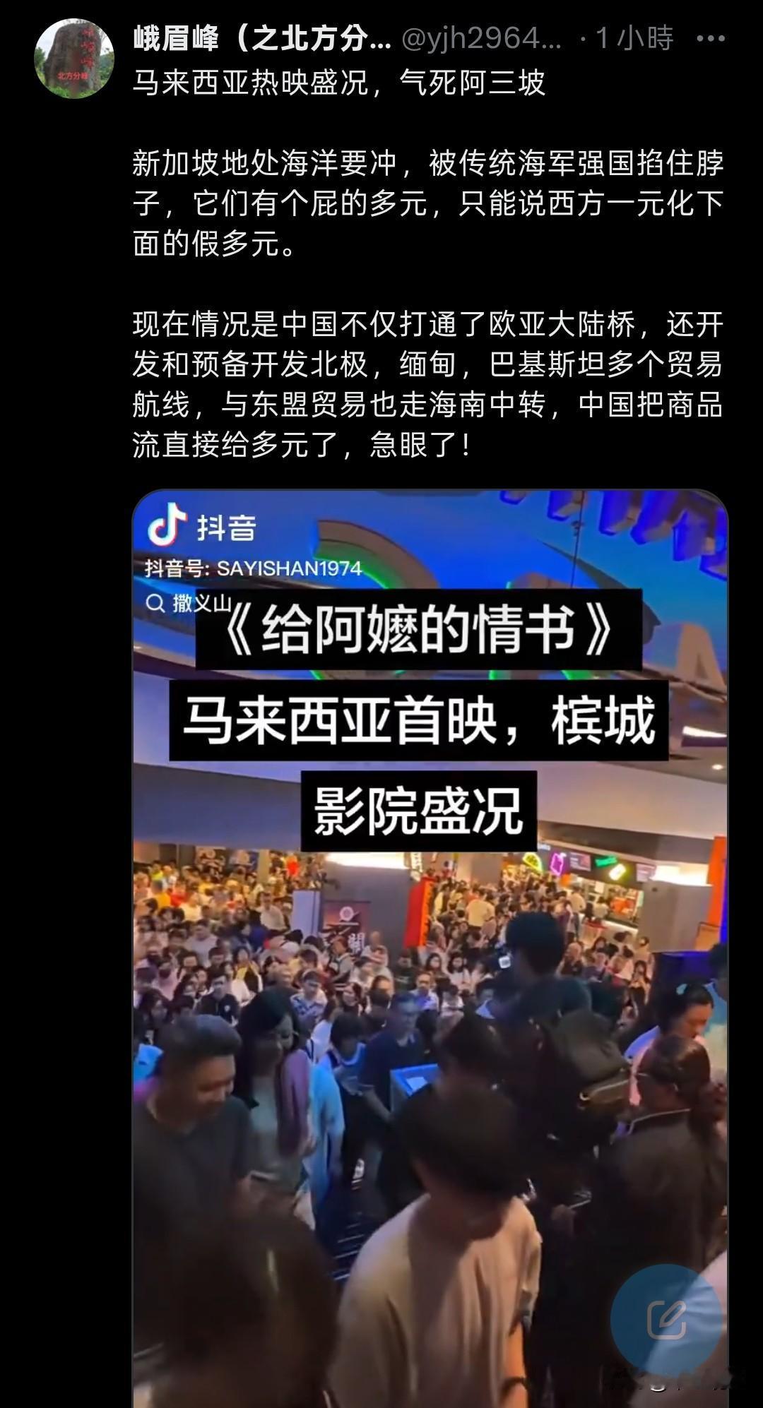 《给阿嬷的情书》在马来西亚热映了，看了马来西亚网友发的视频，电影院中的华人话很多