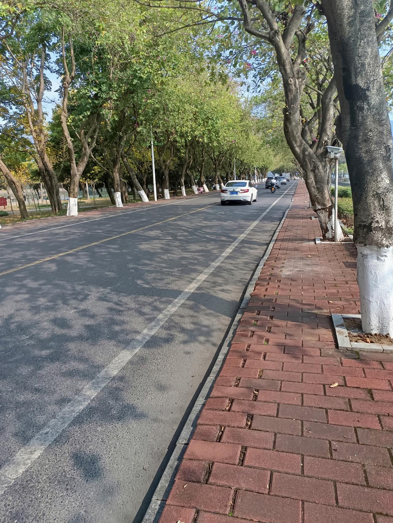 我终于知道了为什么有人说肇庆没什么地方好玩呢却依然在节假日当中有这么多游客