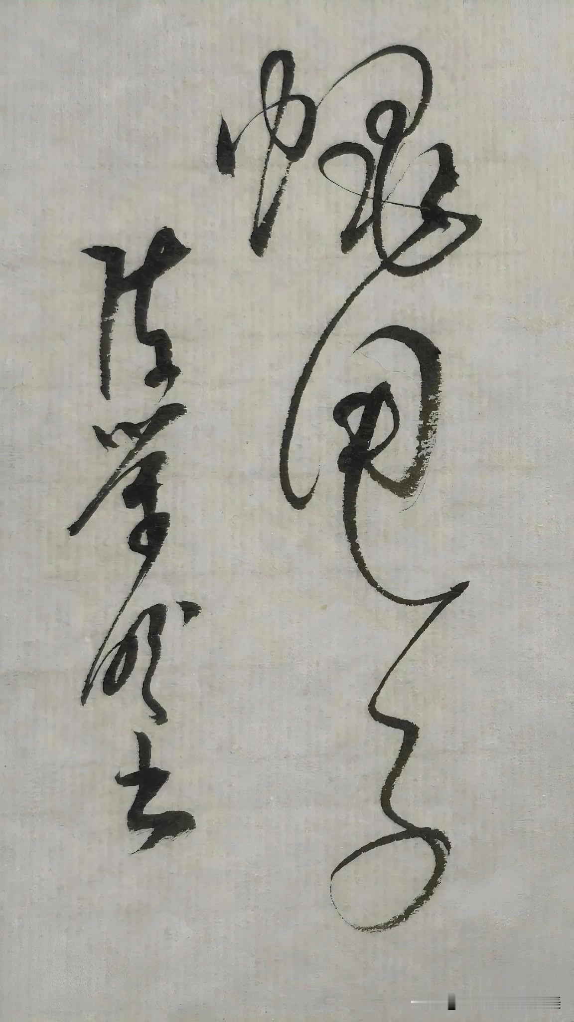 草书精品展示：蝇甩子