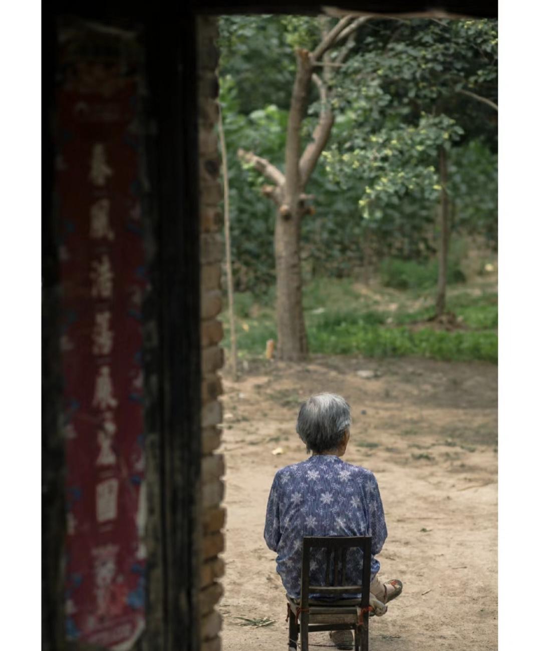 2024年深秋，小区老槐树下多了个固定身影。穿发白蓝布衫的老太太，天天揣着小凳子