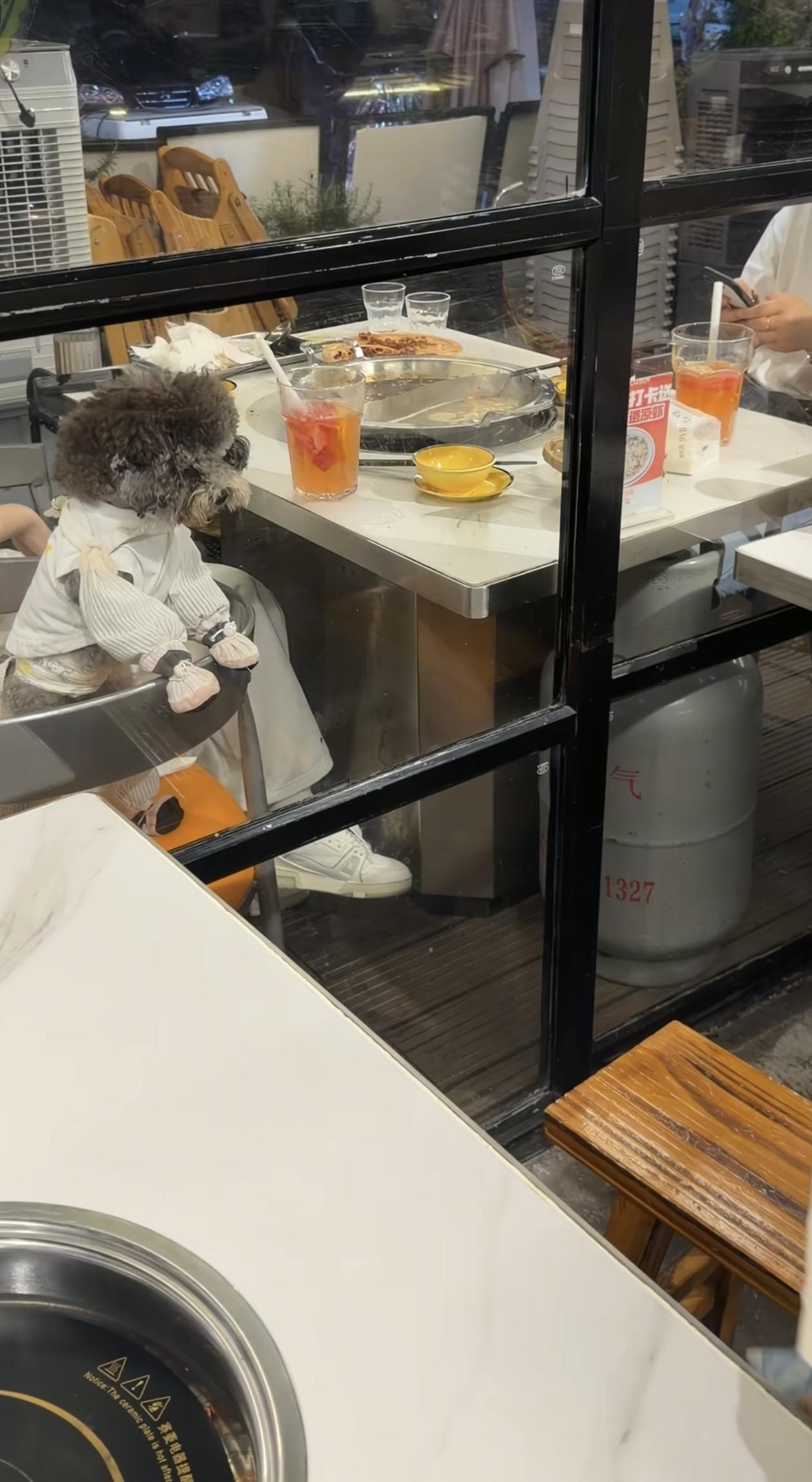 这种情况下是店家的主要责任吧？6月21日，安徽合肥。网友发布视频，一顾客在一火锅