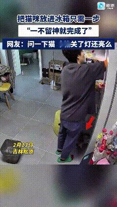 看到这个视频真是又好笑又后怕！女主人开冰箱放东西，猫咪悄咪咪跟着钻了进去，主人没