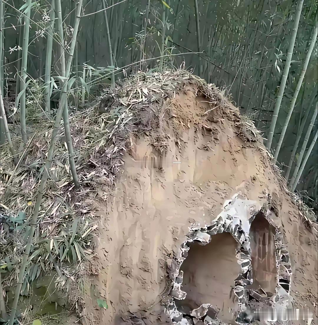 遇到这种事，现在跑还来得及吗​​​