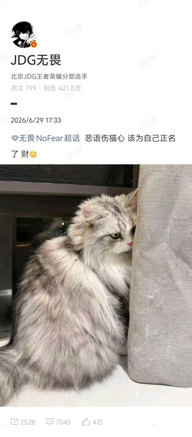 无畏为自己的猫正名了无畏为自己的猫正名了呀！这猫咪真可爱啊