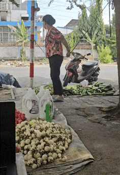 惊呆了，这是古墓派传人呀[哭哭]