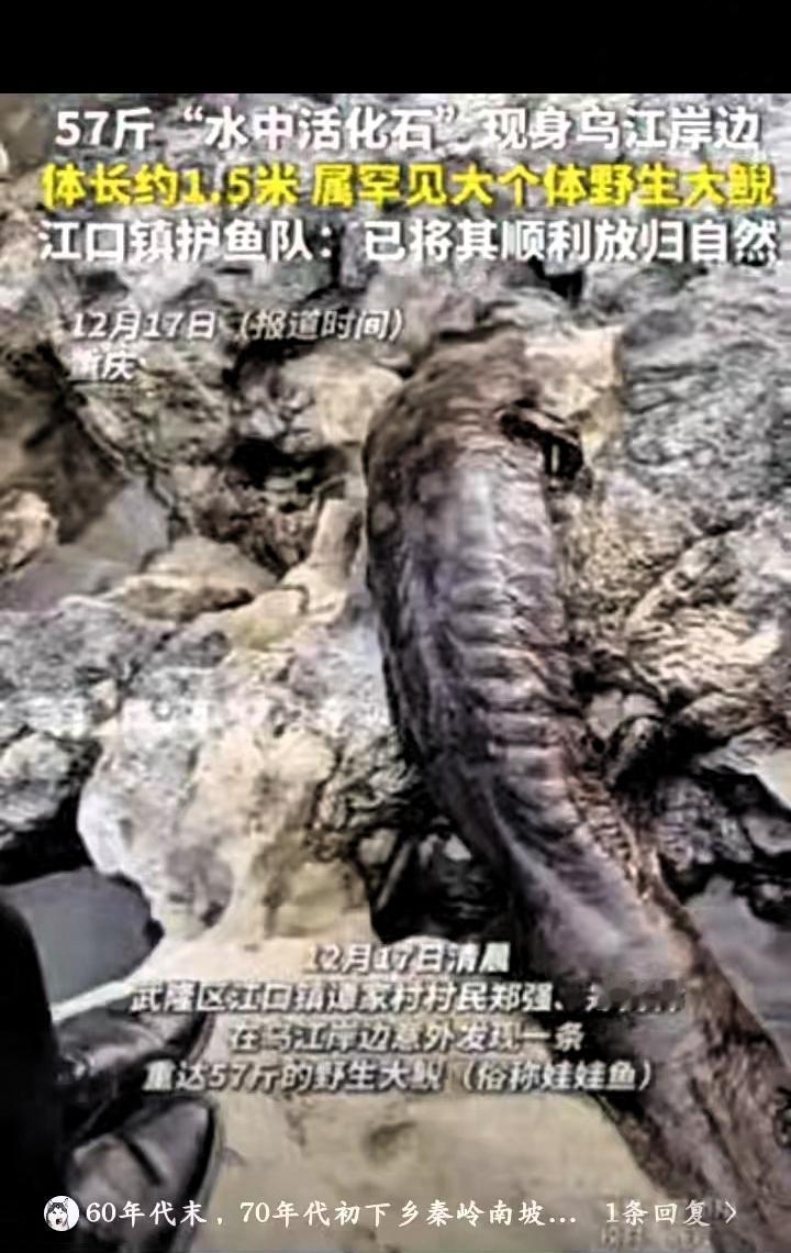 “幸亏发现及时！”重庆一村民干活时，突然发现石头缝有动静，他第一反应以为是山里的