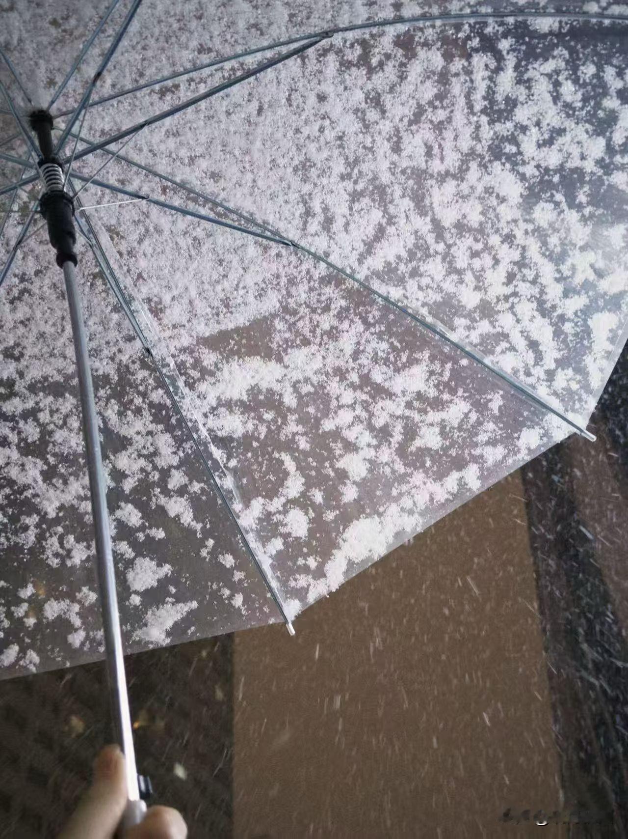 上幼儿园小班的孩子的话绝对不能信！上幼儿园中班的孩子的话绝对不能信！！上幼儿