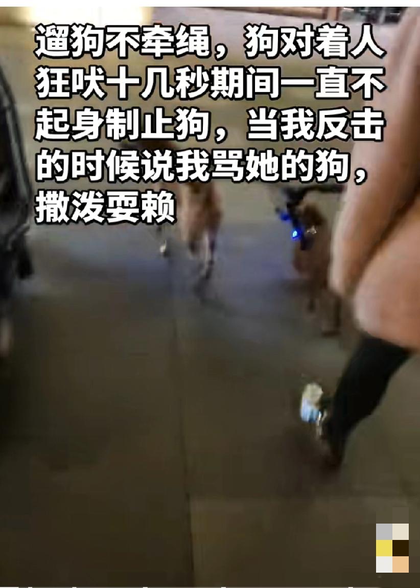 网友发视频吐槽：女子遛狗不牵绳子，狗对着我狂吠十几秒她不制止，我反击的时候她说我
