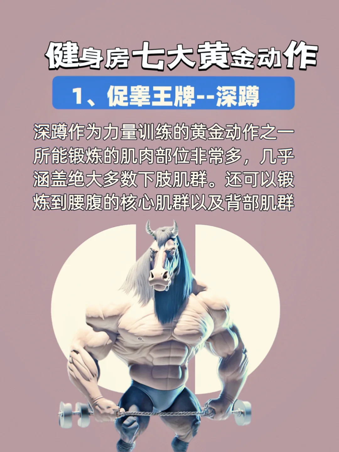 健身房七大黄金动作