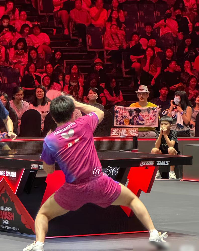 张本智和不是输给弗朗西斯卡，是输给了一个场边的观众。你没看错。一个他9次交