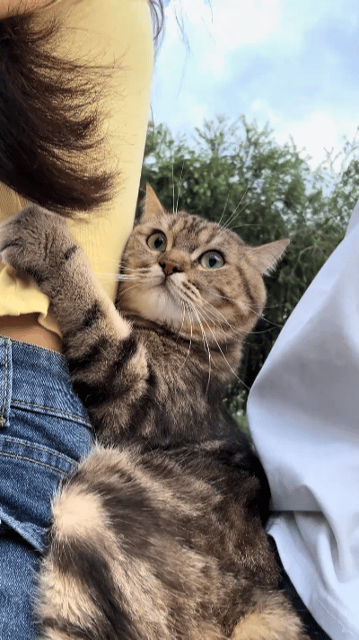 我就问你服不服！别人家的猫也太懂事了吧！小姐姐骑电动车带猫