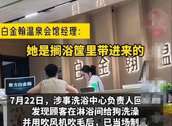 女浴室有人带狗同浴辽宁丹东一洗浴中心，女顾客正冲澡呢，旁边淋浴位蹲条狗——主人拿