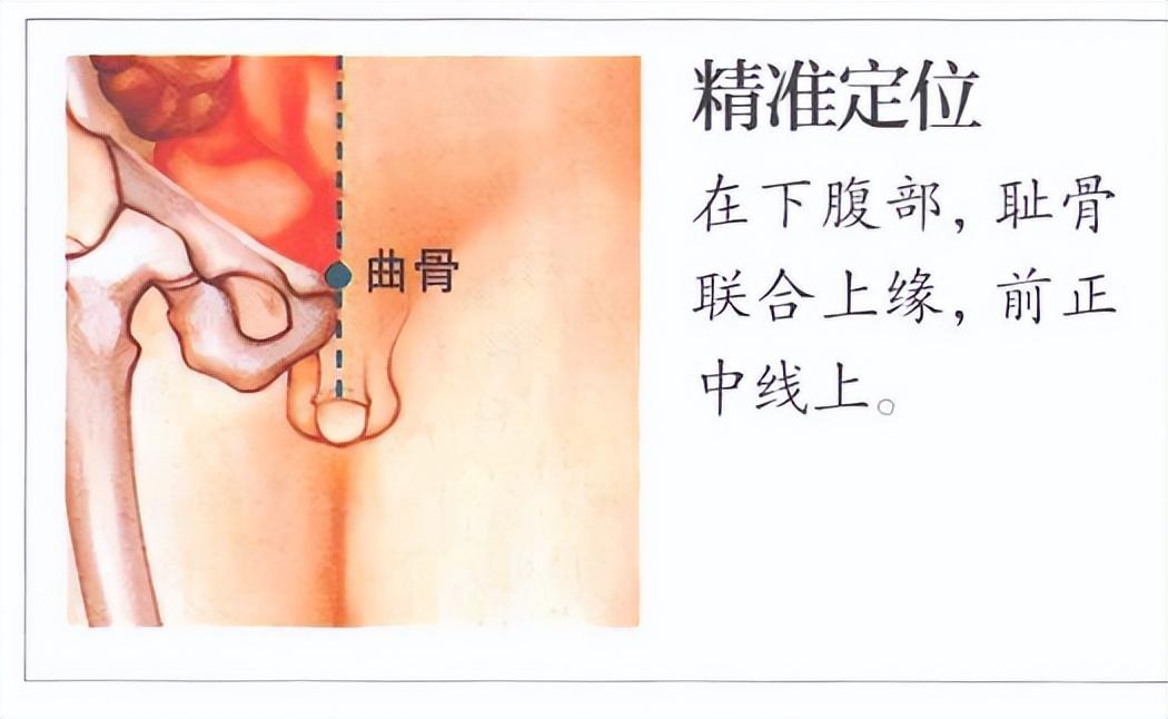 曲骨穴——呵护男性前列腺、温阳固本的下焦要穴大家好，我是中医陈医生！提示