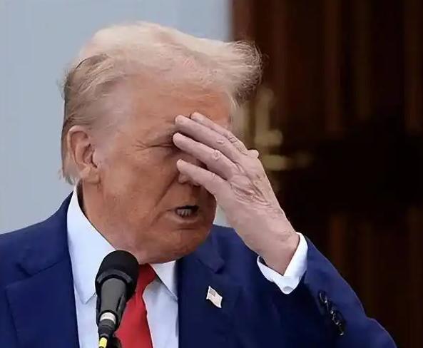 特朗普也没想到，自己绞尽脑汁从中国台湾地区“抢”来台积电，到最后竟然白忙一场。此