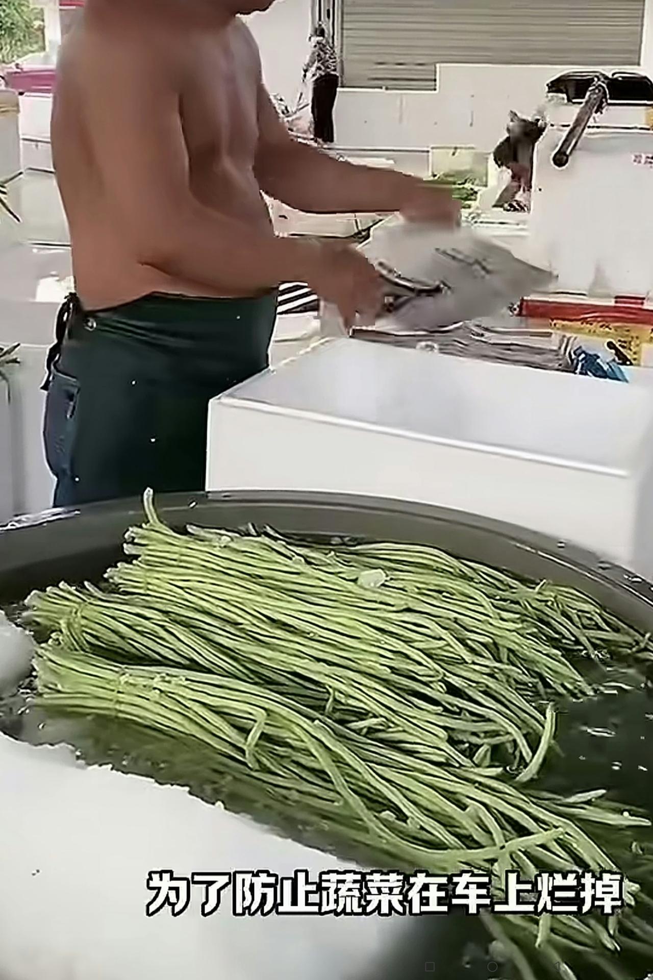 大家来看看：这个人把长豆角在装厢前，一把一把地放到一个有大冰块的水池里去浸泡一下