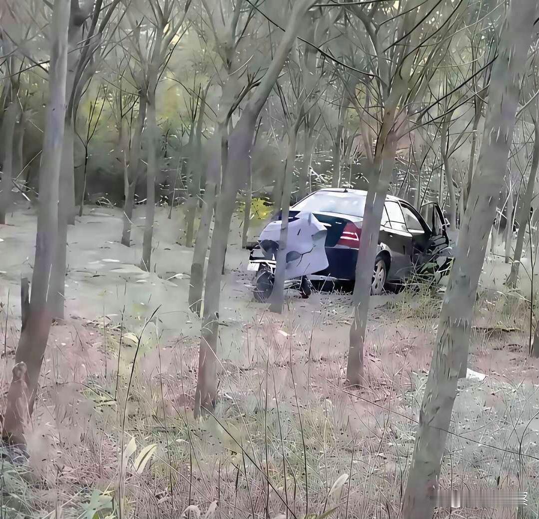 车门为什么不关