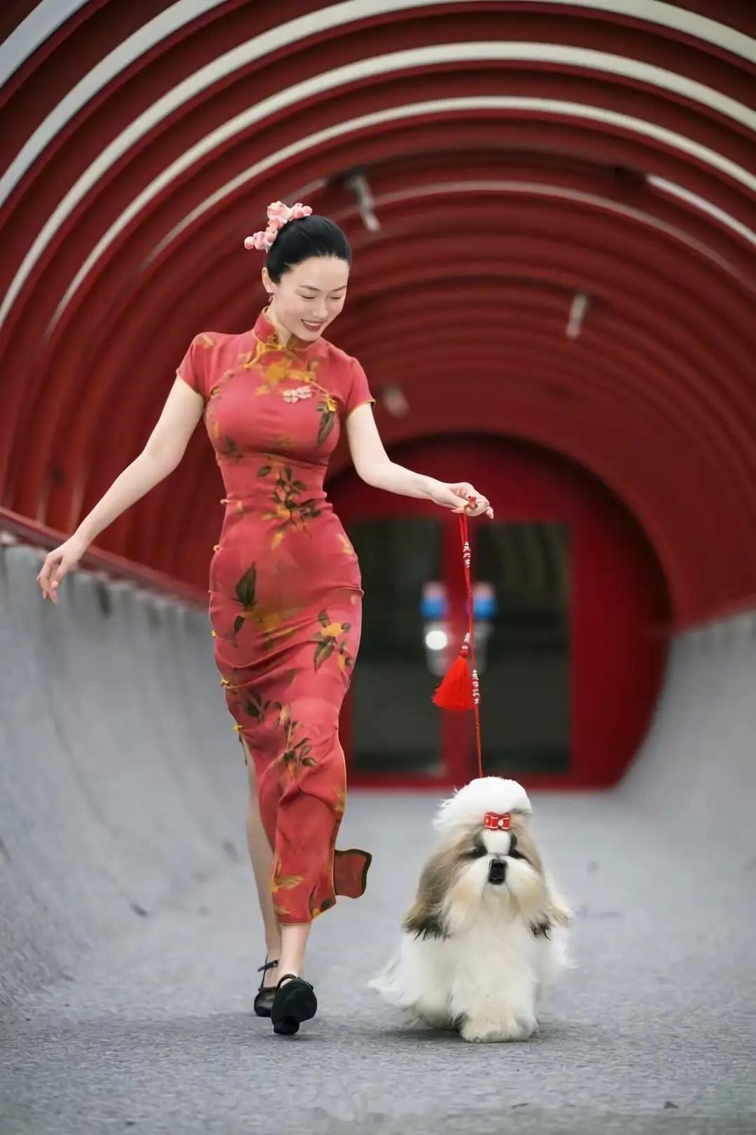 霍思燕领着她的狗去参加什么评奖，得了一个金奖回来。两口子各种高兴，发了很多漂